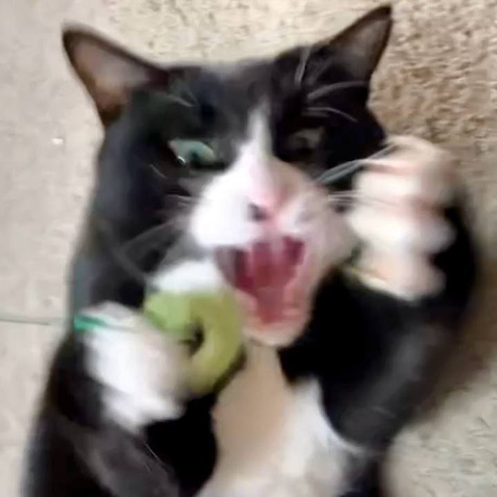 43aebd44 8d8c 4ab3 9e30 9014bb006f97 1729396361754