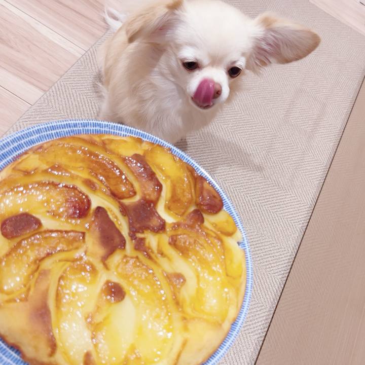 43aecb33 6312 4c2f 9d3e 8c440f65d17d 1732874182427