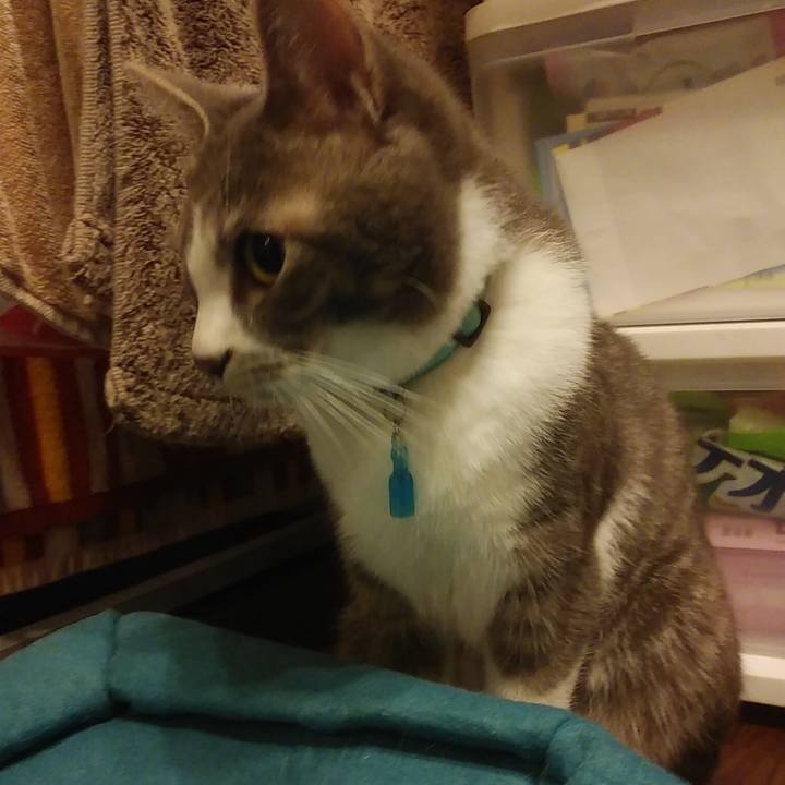 43aed077 b35e 4c30 9fb8 32596f8bd2a9 1587565836660