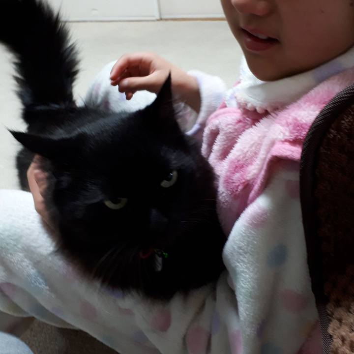 43af065f 0feb 46e2 88fb 7a5e13d971f7 1518208946507