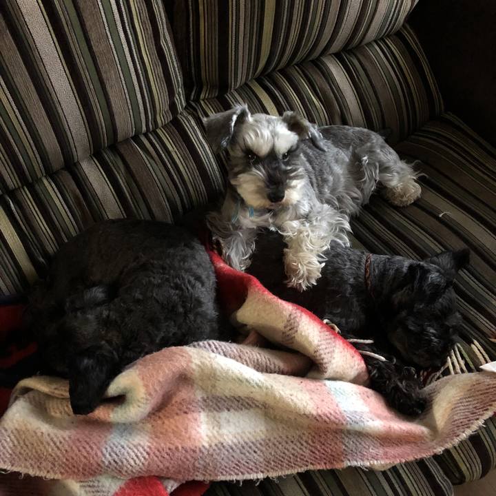 43af0818 b7a7 4d02 a85f 58a8ce1a49f3 1585628768626