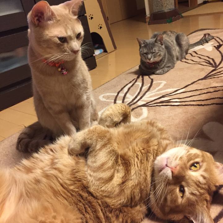 43af23be 89ab 4d29 ba07 09a62dc7f5e4 1579955430463