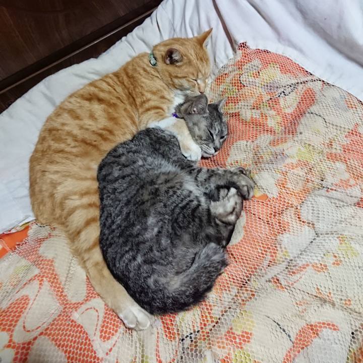 43af2afa db79 47e5 abf1 fb8946054645 1585313540187