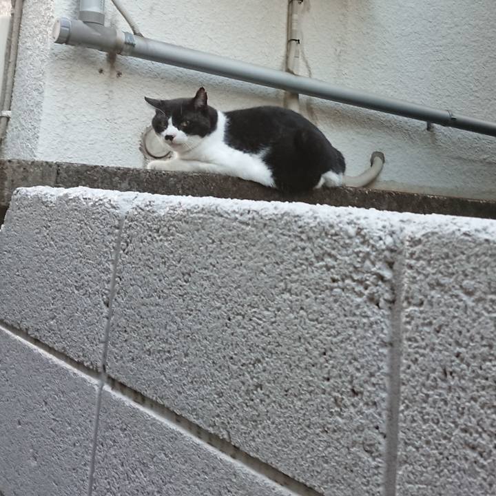 43af5226 d683 4c49 8a5c ae7b702e06b2 1695804279127