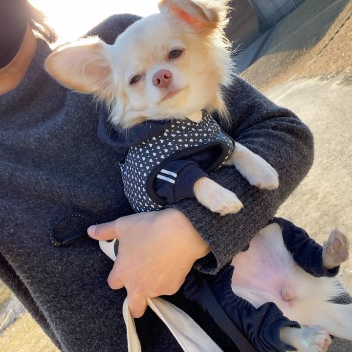 43af8485 bfef 426d 8564 f99eb2ac06e7 1610963092018