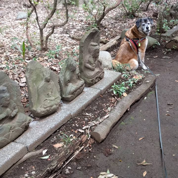 43afc1c3 e2f1 4c1e 8700 8c76bc30ca3d 1522023974705