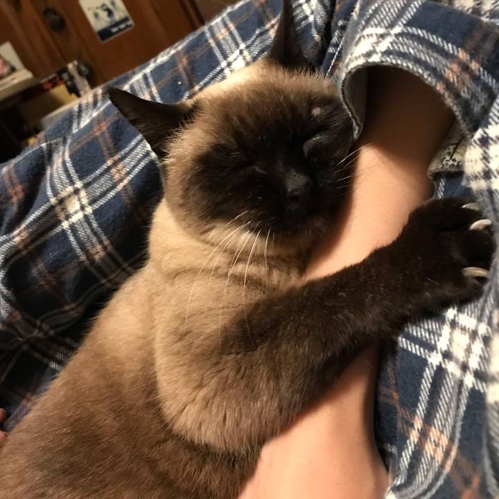 43afe4d2 50a8 4727 aae7 26999e196825 1553208056647