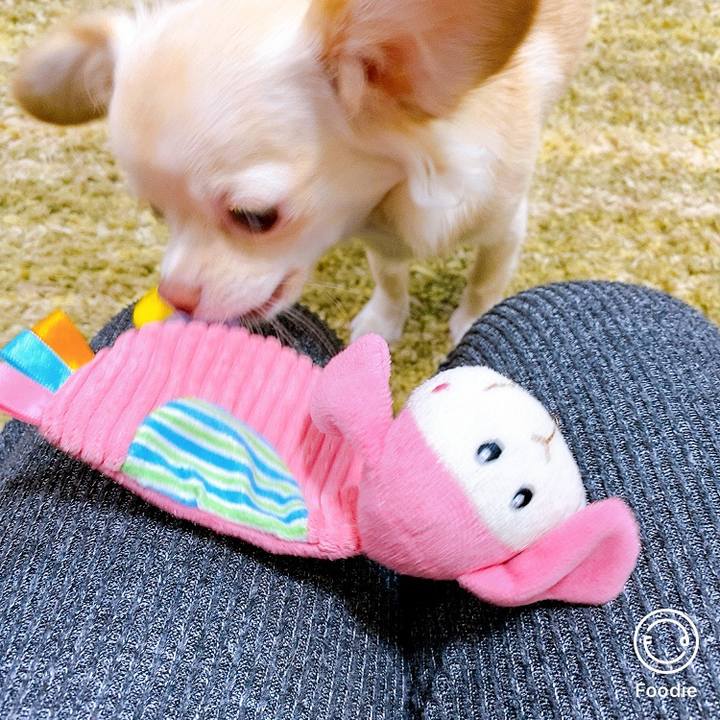 43afebca b1b9 403c b2c6 bbf26e6fe115 1602392254965