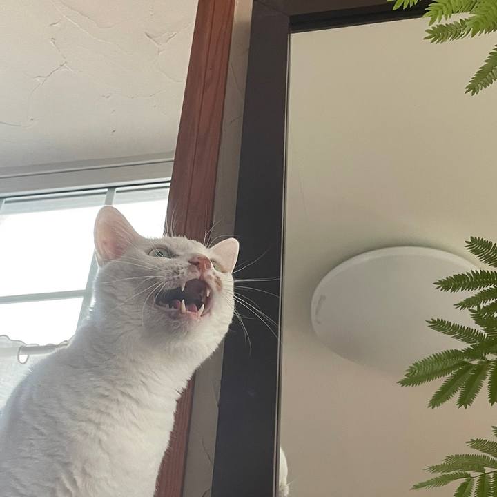 43b03c53 f74e 497c b2ac 54b66368ed09 1652103469327