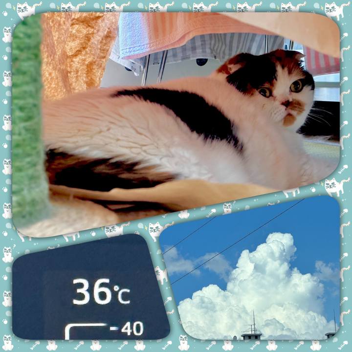 43b06ddf 04e3 4f34 abf4 5f2a0498fe4a 1693302669086