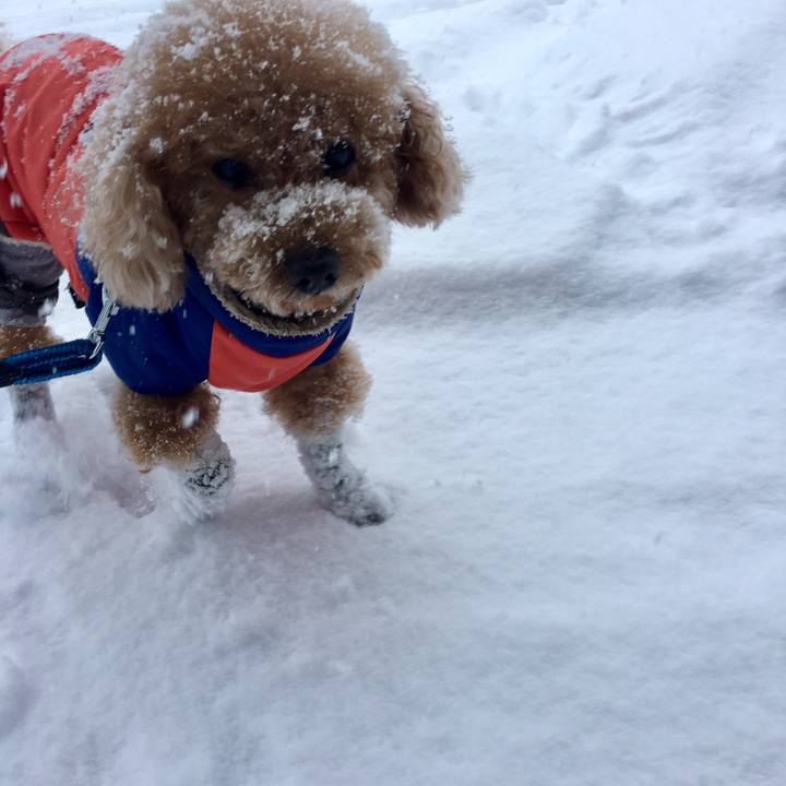 43b0759c 44d2 4108 9e2b bae40dfdc34c 1512105129717