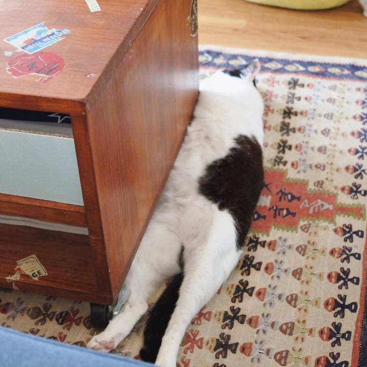 43b0a805 a1c4 4962 b5f7 c4036204e30b 1563436479883