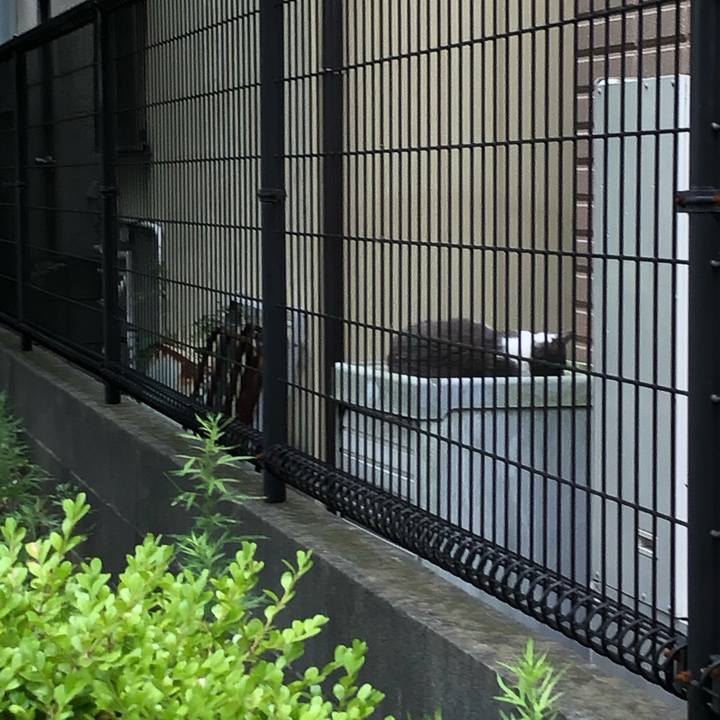 43b0c0db c4ef 4859 8591 5b3171a4d9c2 1594309486769