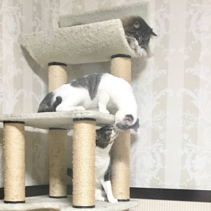 43b151eb c156 42ae a034 828d9da29cb8 1510936247098