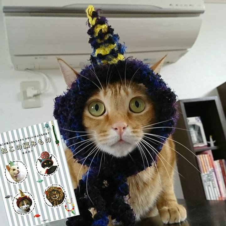 43b166cf 2cc9 413c b70c 6d859a44776d 1547095821940