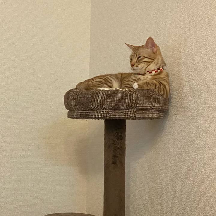 43b18d76 456d 4182 b668 9d4139bf403e 1605271568843