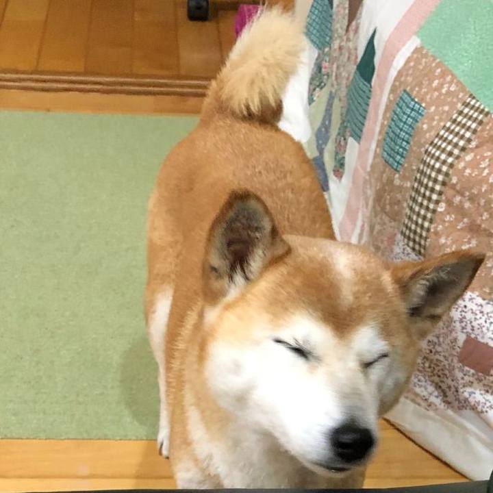 43b18e7e 1fd7 41d2 bab4 95c53842e49d 1667728796880