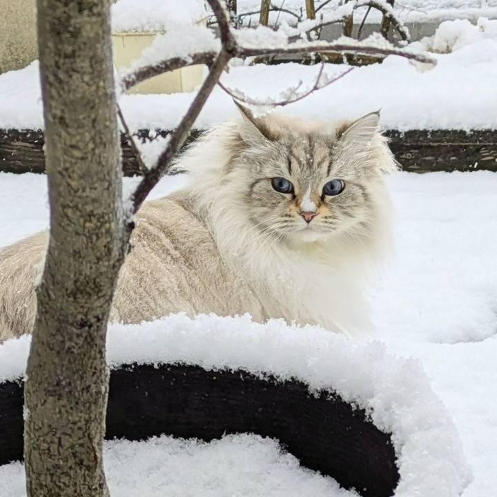 43b19808 0d00 4abd 9421 d47b782b6dea 1770514576952