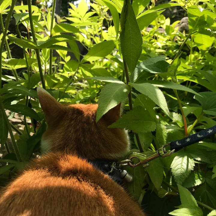 43b1a9ca 854f 4012 9a95 db903e23bda5 1527224800146