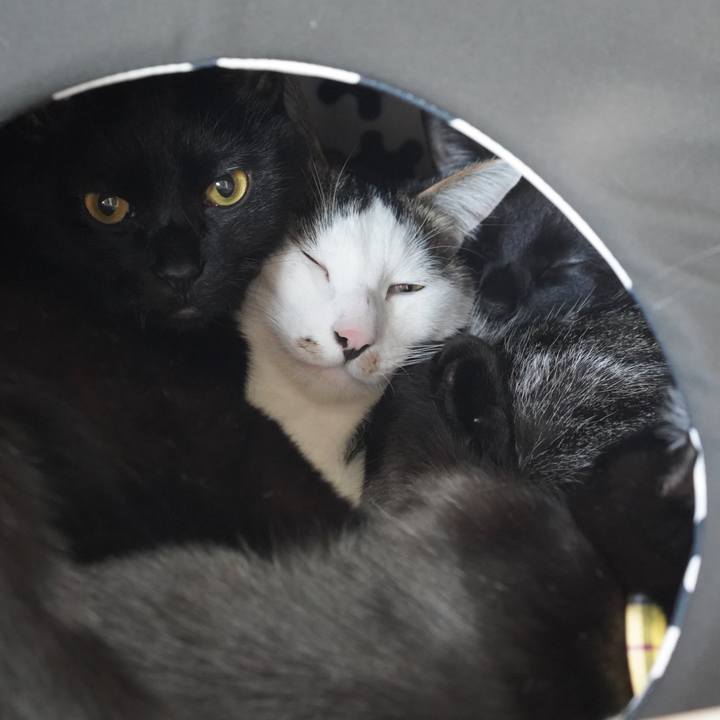 43b1cd5a ced0 44a2 86d3 fbe30d38657e 1580560330403