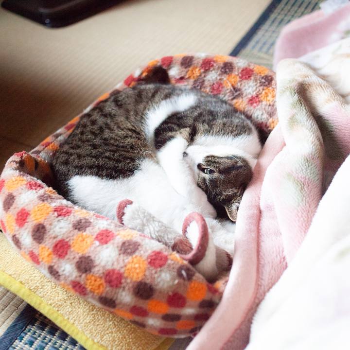 43b1d5d6 5137 4c4b a816 e621e3368628 1554340216435