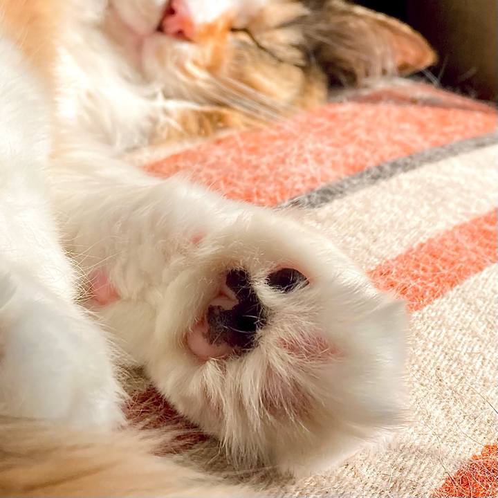 43b1dee3 226b 4b03 919c 1f19113644b2 1649489835853