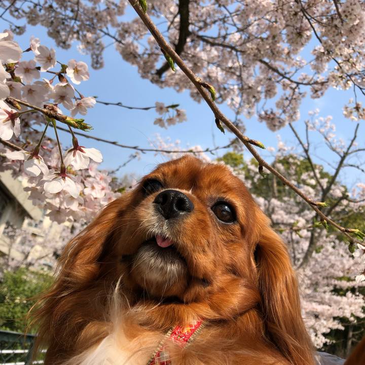 43b1f5eb 2f74 4f57 aee4 92f159c9036c 1555021451423