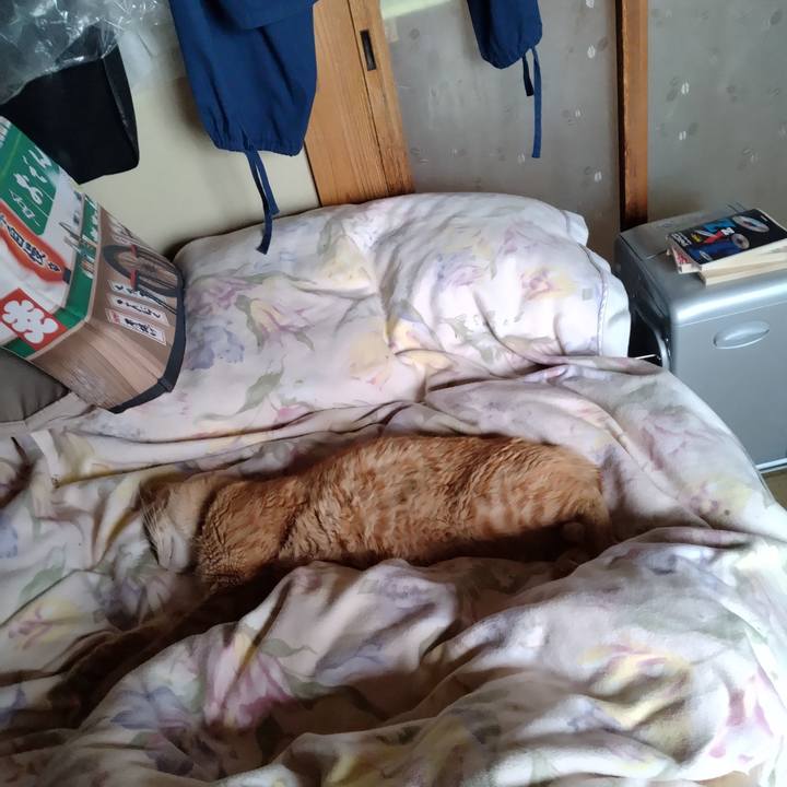 43b233a3 db71 4a74 af9c ddc171d76035 1686702380652