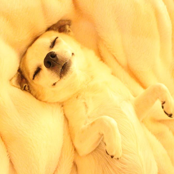 43b2440e dceb 441e 999d 1936b2ce4172 1515766709370