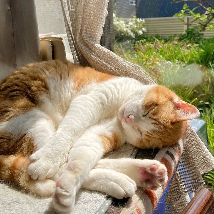 43b24b8b e215 4e47 b31e b5f09be1d4b6 1682655264688