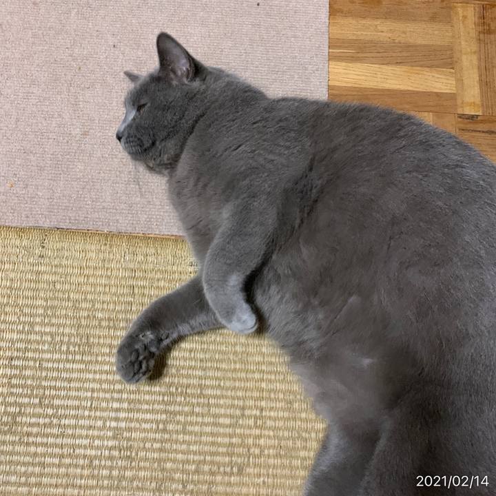 43b27607 d07c 4fdb a3bd a7bf7029d9f5 1613305356115