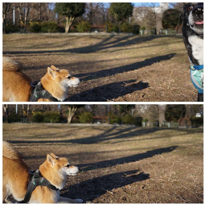 43b290a6 04cd 4f8a bac4 2d3dc239b70d 1771463812974