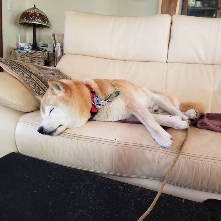 43b2926b 069d 453e 9abe cfcf51e25b4c 1717728058140