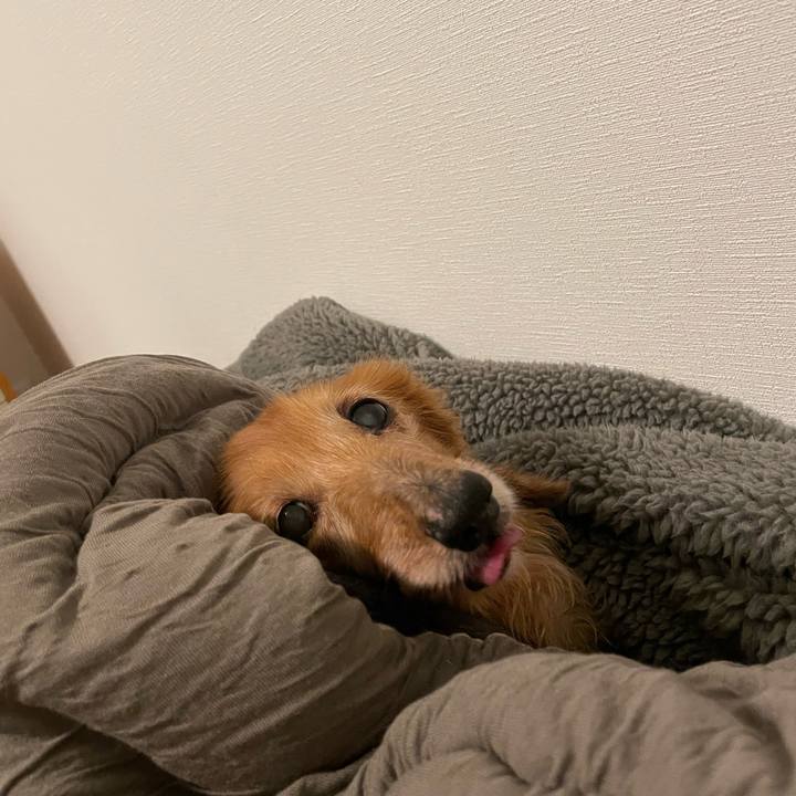 43b2bdc5 47b4 4610 9508 793c0a7d1de9 1700659973694