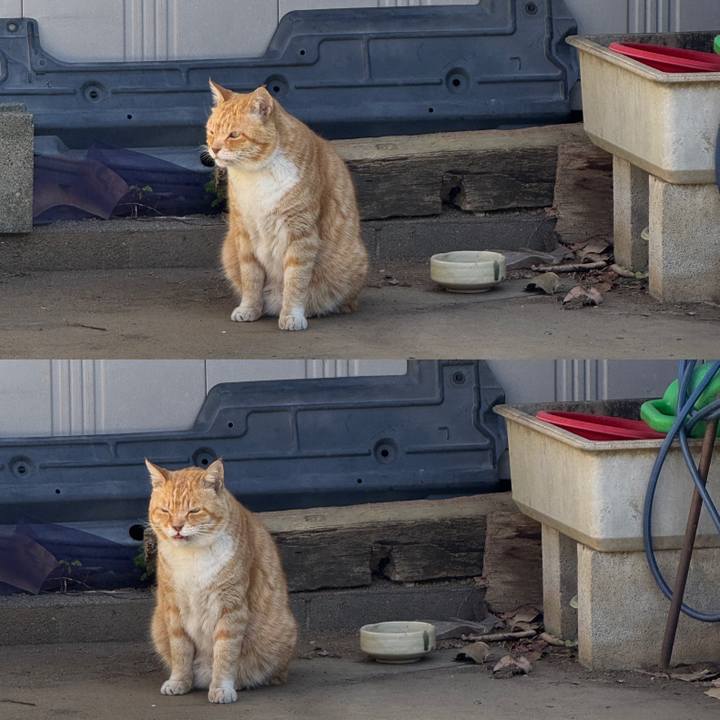 43b2fef6 2de1 4dd3 bb18 1ab700339dfc 1765335006806