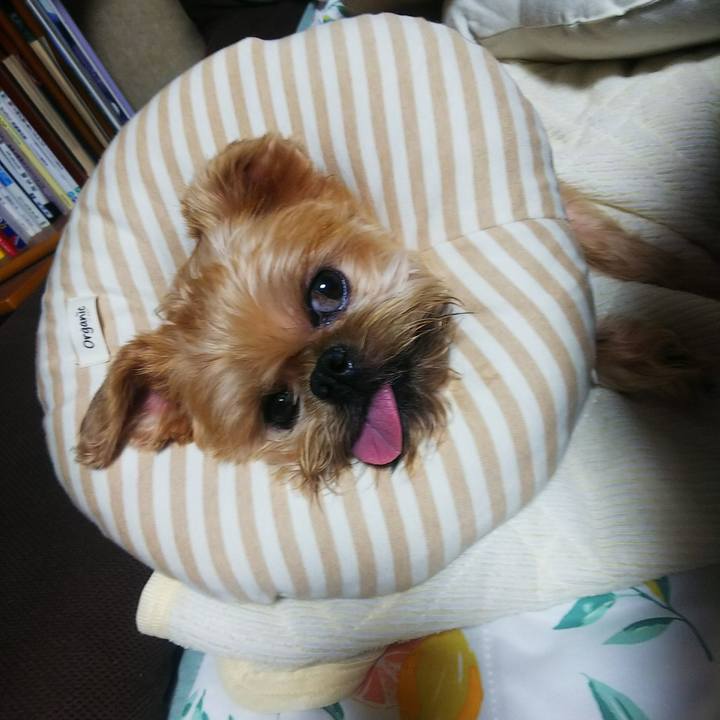 43b30047 4d1c 4438 8374 efdc3cc29779 1595813068634