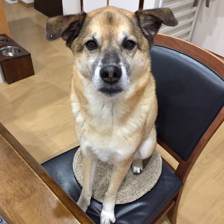 43b306a0 af92 4340 a43c b10899f030ea 1547538626421