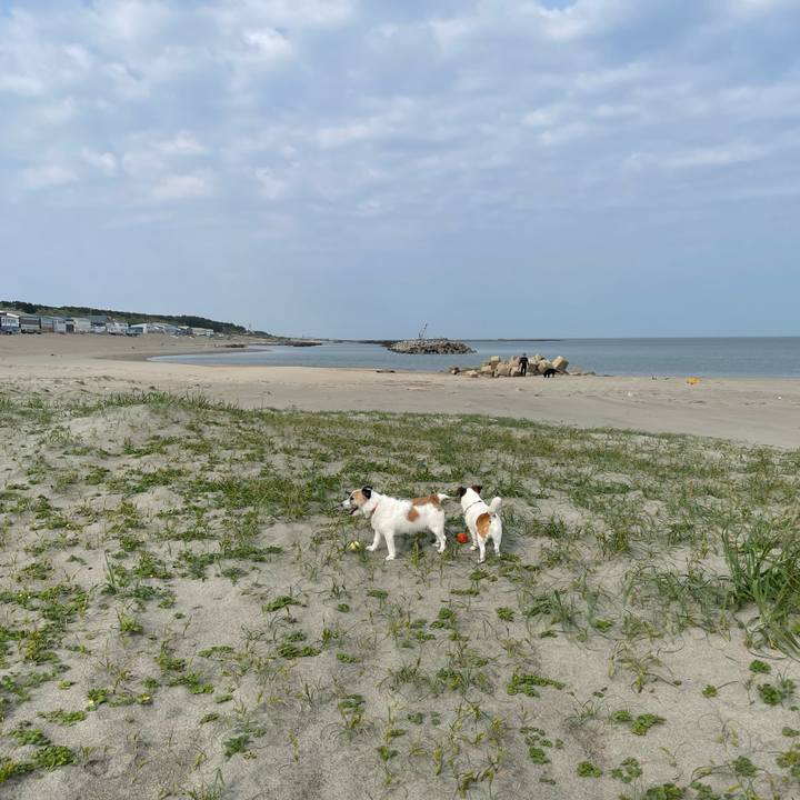 43b30717 0465 4f8d 8984 d1a4fbd1a5cf 1747788359016