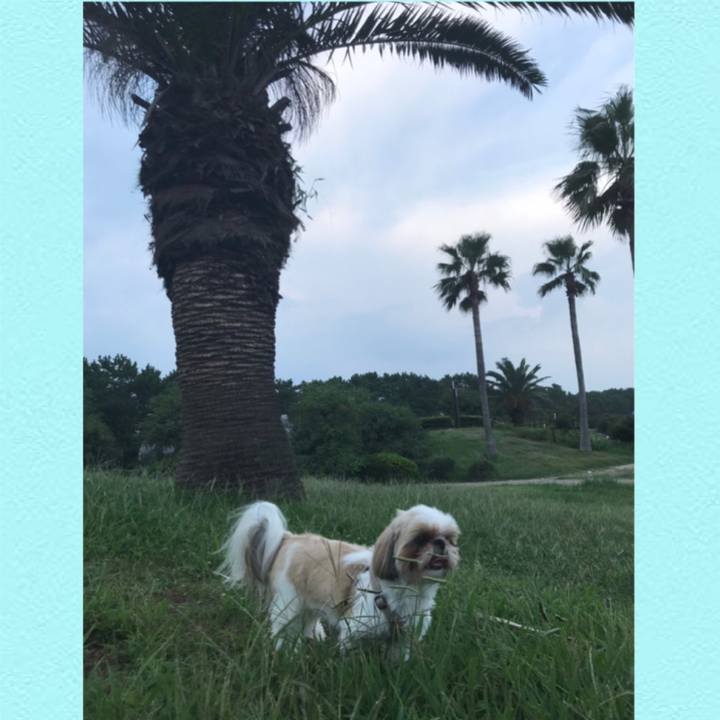 43b33715 1aa3 415b ad57 3286b886fa20 1599299863825