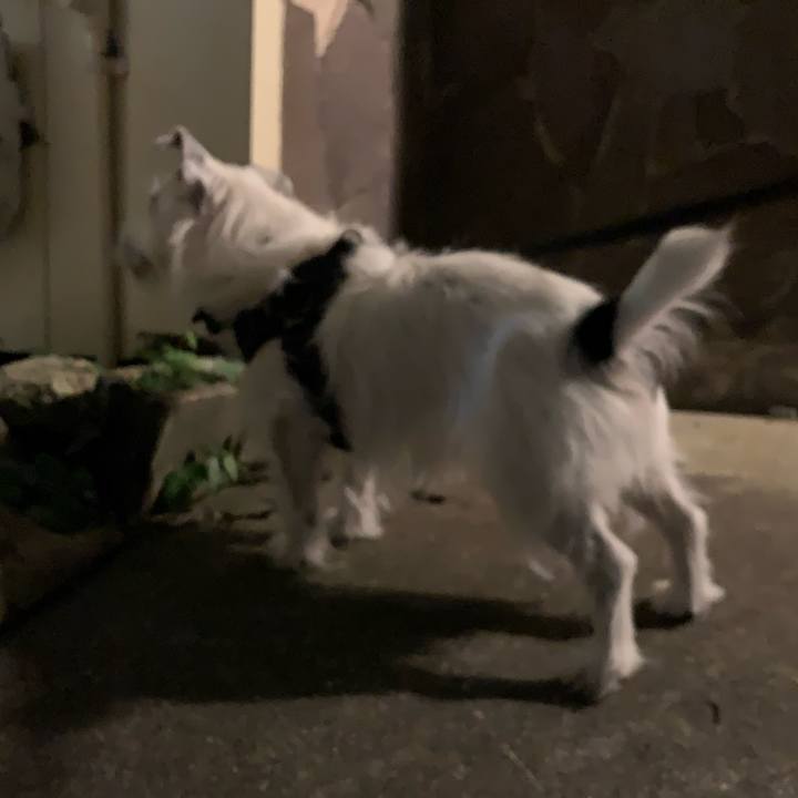 43b355e8 6da3 4d64 8de0 559496314aa9 1662899440835