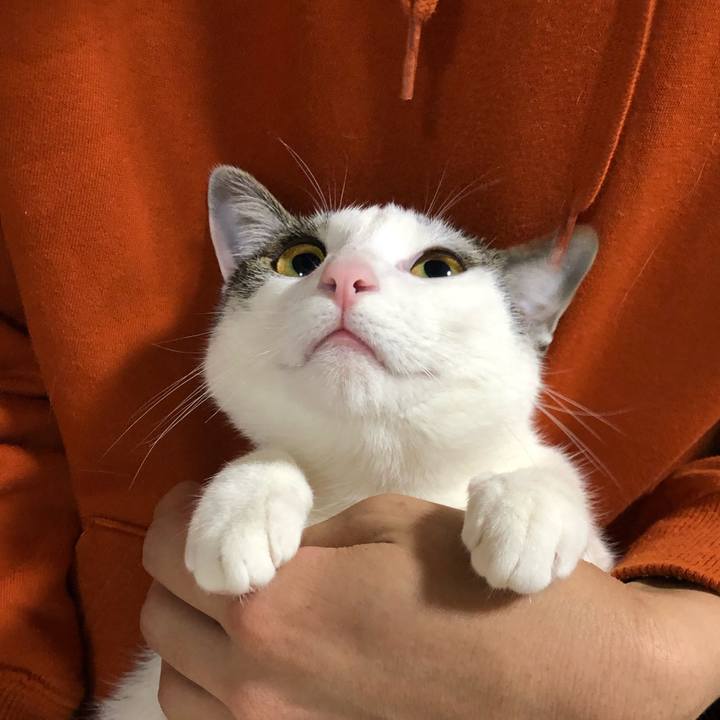 43b35b62 afd9 4962 931a 5b539b587334 1585740885373