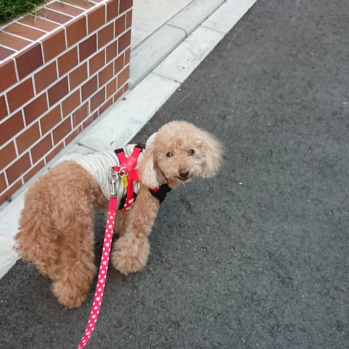 43b36836 3345 4fc8 971f 03129dfabeec 1571043104694