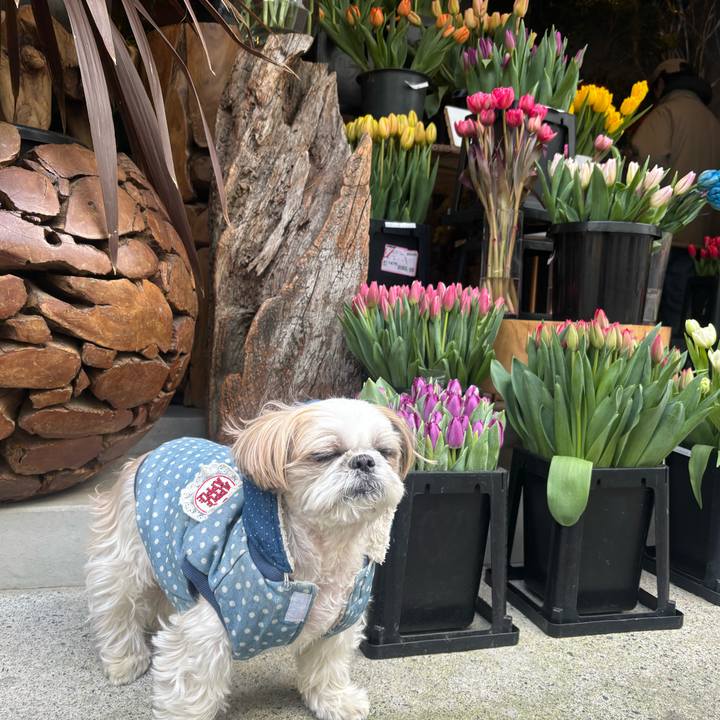 43b36c4d db6a 4168 8150 df96baac1cff 1769930225185