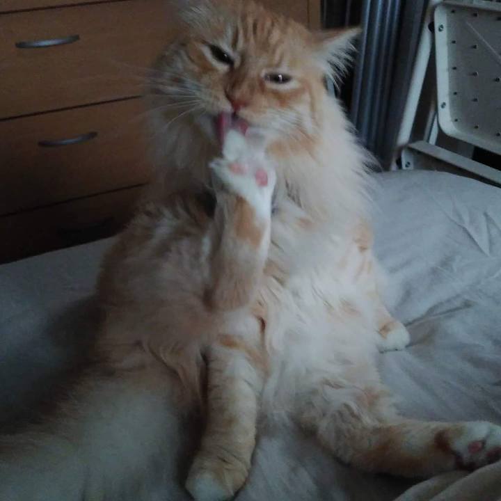 43b38a16 b6d3 4c09 88f5 2c78a222ab4d 1654251355854