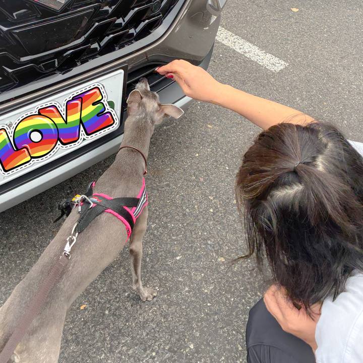 43b3b3d8 d09c 4fc4 a532 acb1930dcdfc 1761379414865