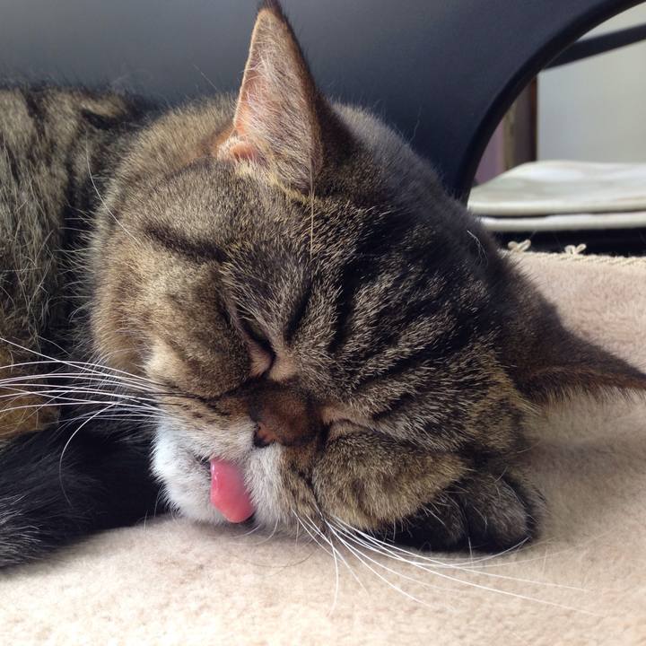 43b3bffd 4bbd 49e2 8810 cf9e6afd7bbc 1523060052318