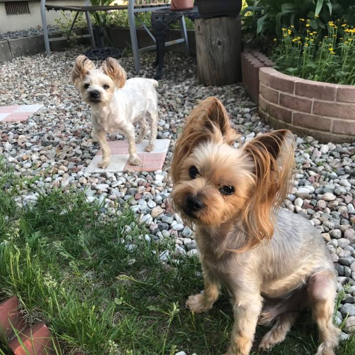 43b3dc92 ce4e 4585 adb9 10b7391ca7d2 1559473878647