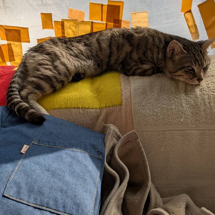 43b3deed e20d 4f59 8c16 729d4dace343 1740795759635