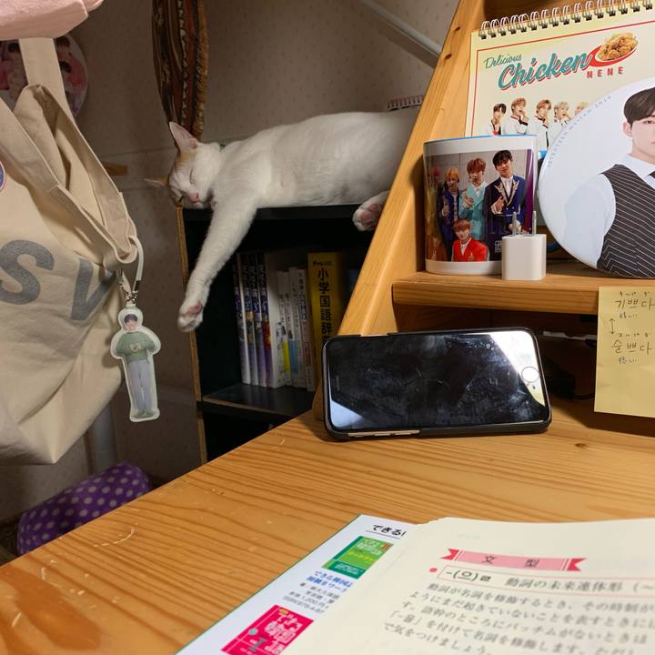 43b42a74 aba7 4823 8470 715bbd4b5032 1561644006856