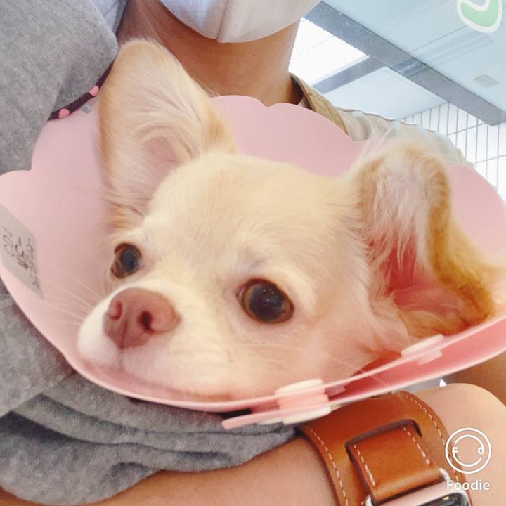 43b44e4c 68dd 49f3 b604 a88b6a62cd8e 1598685385894